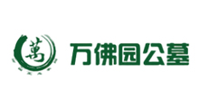 企業(yè)網站建設